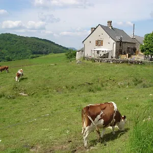 Chez Marraine Séjour à la ferme Sauvat